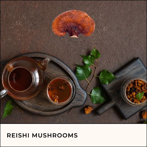 How To Cook With Reishi Mushrooms – The Konnexion