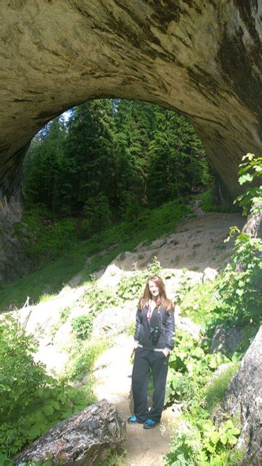 The Wonderful Bridges (Magnificent Bridges) | The Sisters