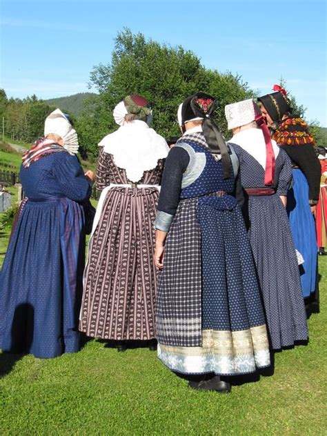 Old folk dressing in Denmark for the common household wife | Scandinavian dress, European dress ...