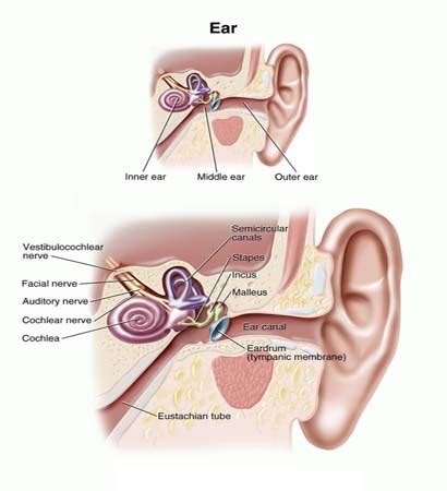 Stapedectomy Surgery India,Cost Stapedectomy Surgery Bangalore India