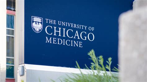 The 7 Best Medical Schools in Chicago - 2024 - College Transitions