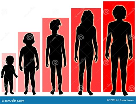 Puberty Girls Stages Chart