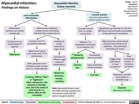 Pathophysiology of Myocardial Infarction - WilliamanceHale