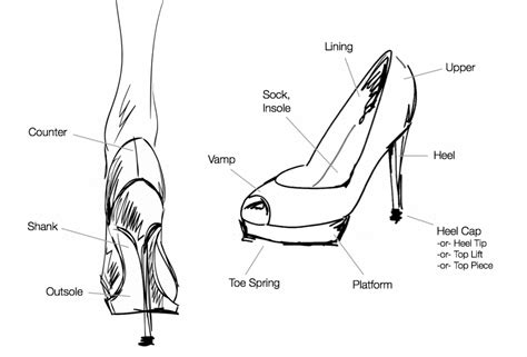 Basic Parts Of A Shoe