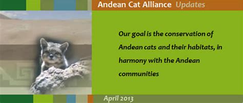 Andean Cat Alliance News – International Society for Endangered Cats ...