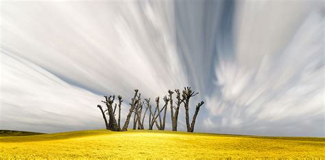 Impressive photo series of countryside landscape captured by Lisa Wood – Vuing.com