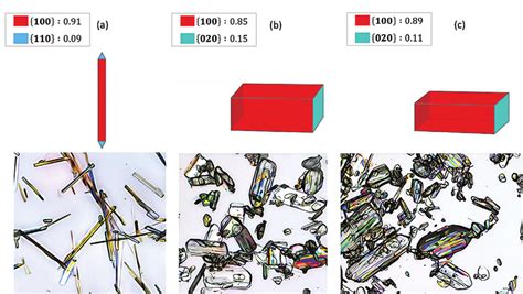 Comparison of the predicted morphology of metformin HCl to polarized... | Download Scientific ...