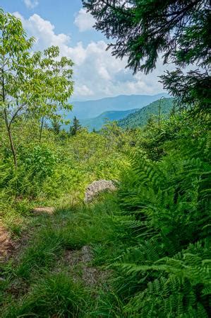 Trails in the Mount Mitchell State Park Trailhead Area