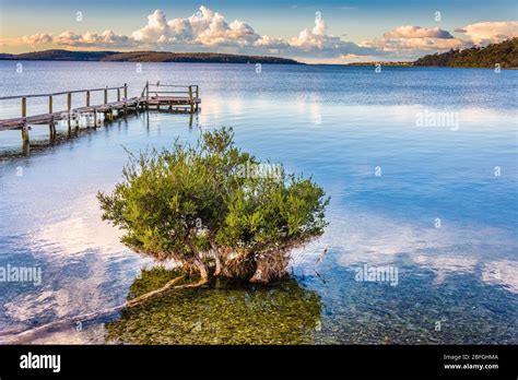 An old wooden jetty and a hardy small tree in the clear waters adds to the scenic sunset on the ...