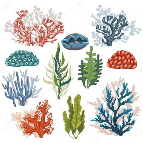 plantas marinhas. | Coral art, Underwater cartoon, Underwater plants