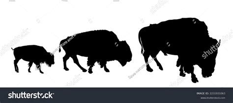 Buffalo Herd Silhouette: Over 306 Royalty-Free Licensable Stock ...