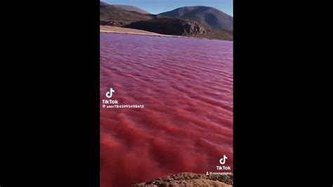 Nile river is now turning blood red - YouTube