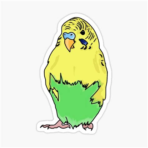 "angry budgie sticker" Sticker for Sale by Cardinal-Flower | Redbubble