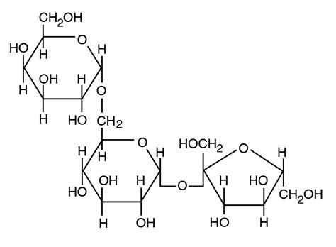 Which Of The Following Carbohydrates Is Used To Store Energy In Animal Cells - Bivens Covest