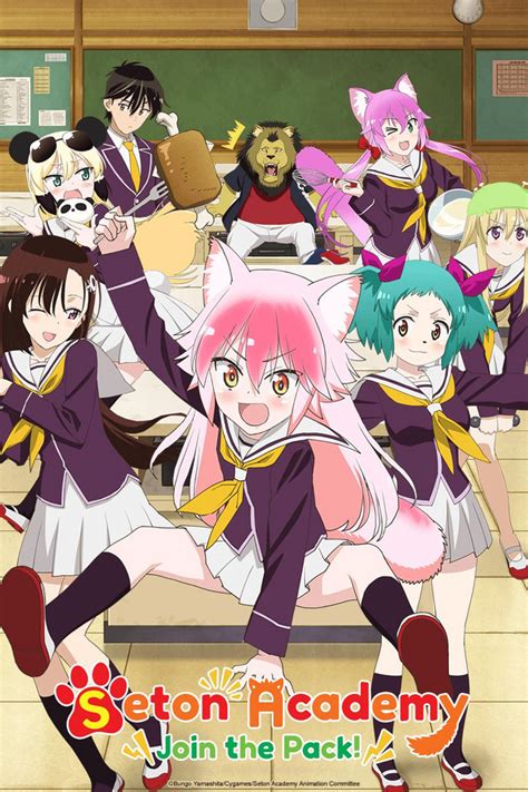 Seton Academy: Join the Pack! Anime Series Review