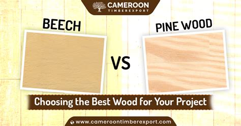 Beech Vs Pine Wood: Choosing the Best Wood for Your Project