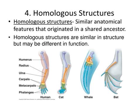 PPT - Structural similarities among organisms. Geographic distribution of organisms. PowerPoint ...