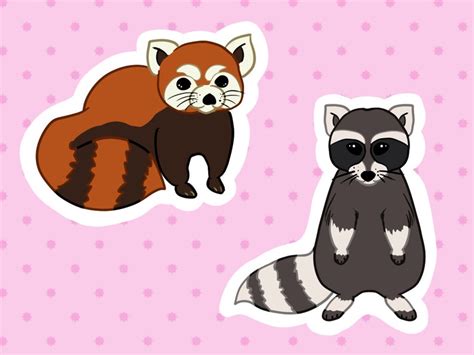 Red Panda & Raccoon Stickers - Etsy