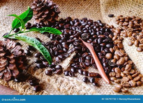 Organic coffee beans stock photo. Image of aroma, brown - 126797732