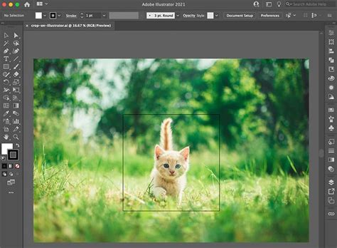 How to Crop an Image in Adobe Illustrator in 3 Easy ways