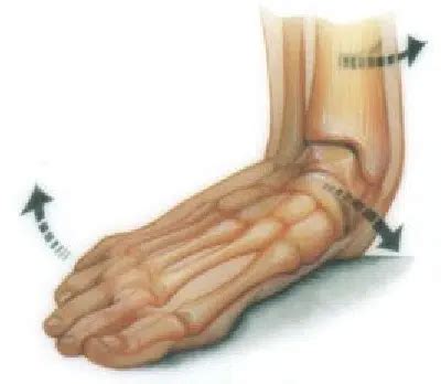 Orthotics for flat feet - Entire Podiatry