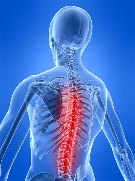 Spinal cord injury repair to arrive ‘inside a decade’ | Science Spinning