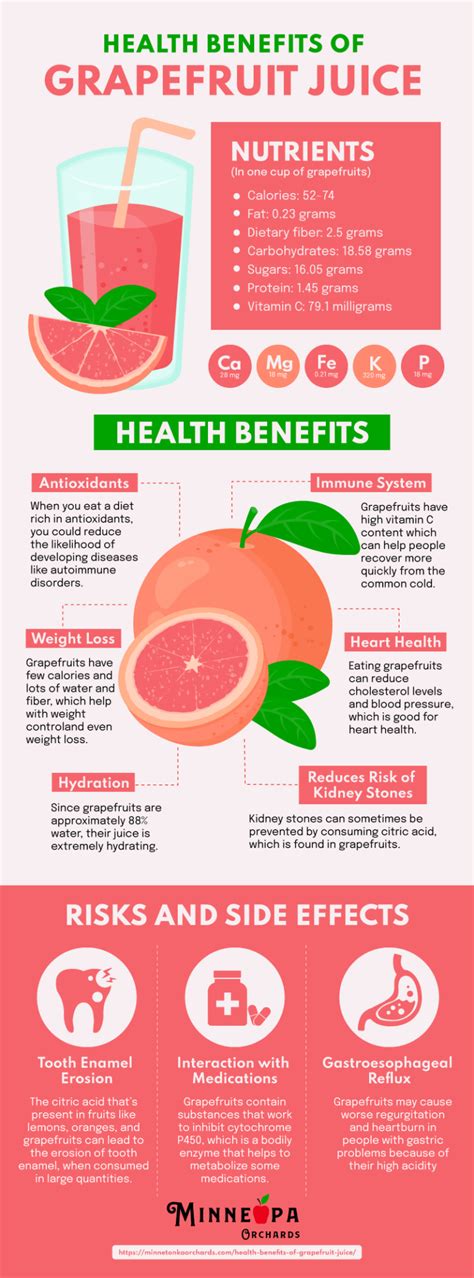 The Amazing Health Benefits of Grapefruit Juice - Minneopa Orchards