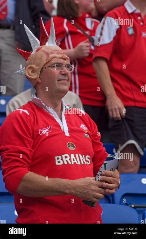 Llanelli scarlets supporters at heineken cup semi final leicester ...