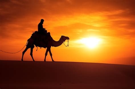 Premium AI Image | camels in the arabian desert in sunset create using generative AI tools