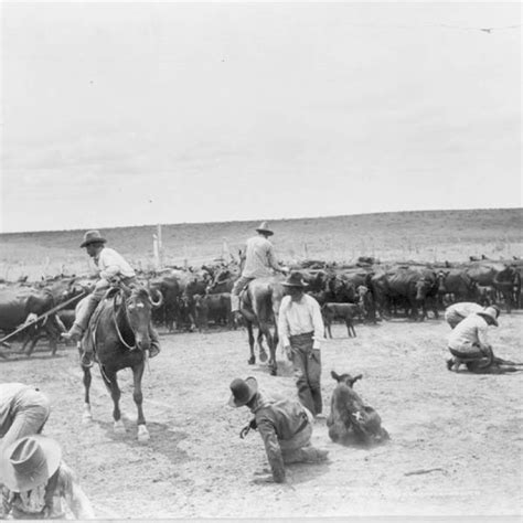 The Cattle Ranchers Story | Texas State History Museum