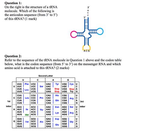 Trna Sequence Chart