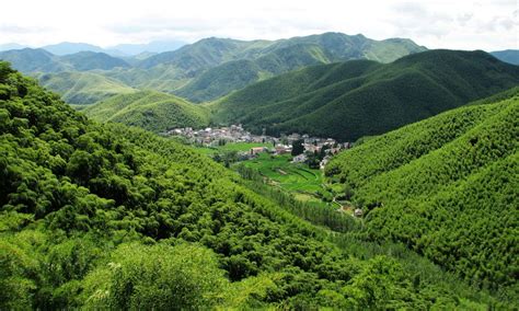 Where to Visit the Bamboo Forests in China? | Expats Holidays