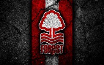 Get Nottingham Forest Screensaver - Polamu-cuy