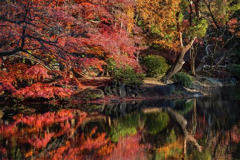 Reflection Of Autumn Colors In Pond Photograph by Henn Photography ...