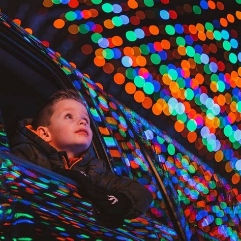 Places to See Magical Christmas Lights in Ontario | To Do Canada