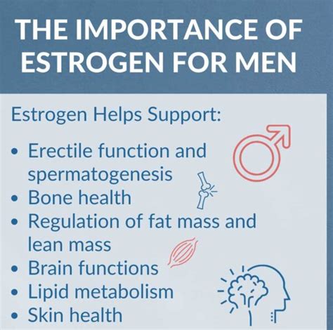 Estradiol: Hormone replacement therapy in men - Estradiol FAQ