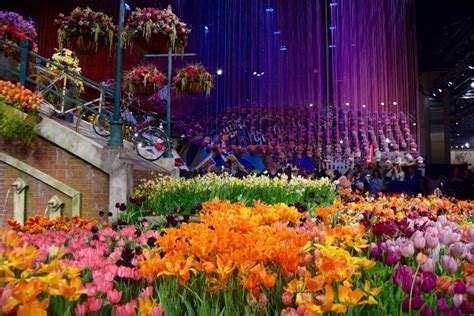 The Philadelphia Flower Show is Actually Amazing | 34th Street Magazine