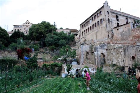 How an Abandoned Leper Colony Became an Environmentalist’s Haven - Bluedot Living