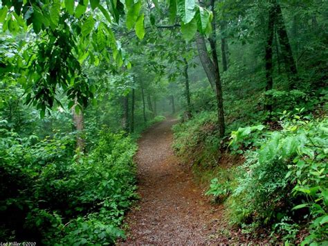 Spring Hot Springs Mountain Trail in Hot Springs National Park Arkansas #trail #nature #hiking # ...