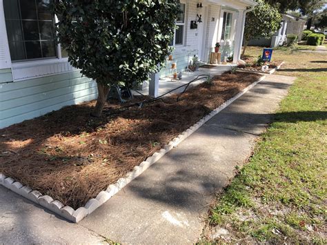 Installed some scalloped concrete edging today. (Bulbs blooming soon) : r/landscaping