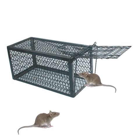 1 Door Humane Animal Live Rat Trap, Rat Cage Trap for Rat, Mice, Mouse and More Small Rodents 25 ...