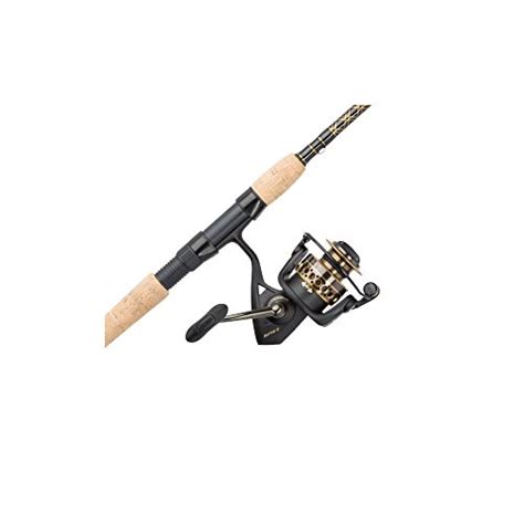 Best Penn Fishing Rods for Pier Fishing – Stuck Fishing