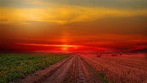 Colorful Sunset at Lonely Field 4K HD Wallpapers | HD Wallpapers | ID ...