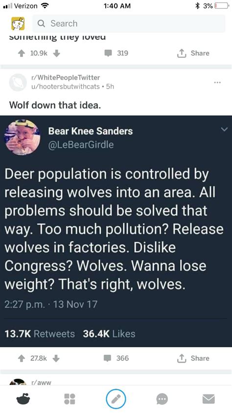 Wolf down that idea : r/WhitePeopleTwitter