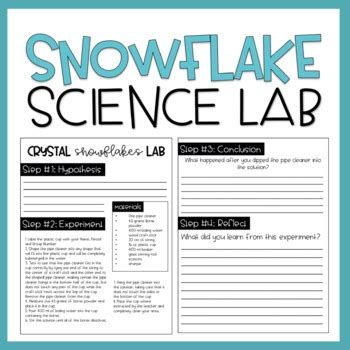 Borax Snowflake Science Lab | Winter Science by The Teaching Wife