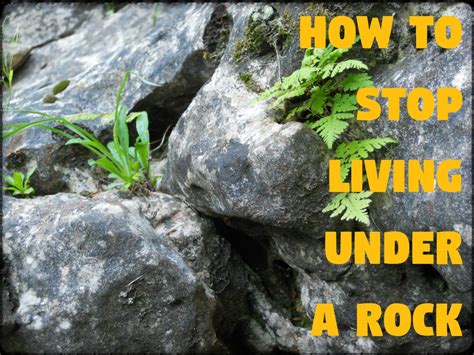 How to Stop Living Under a Rock - LetterPile