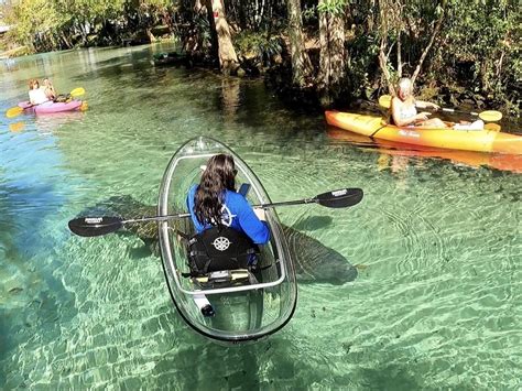 Get Up and Go Kayaking - Weeki Wachee in Weeki Wachee | VISIT FLORIDA