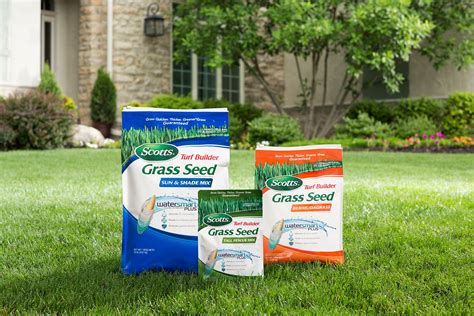 5 Best Grass Seeds for 2024 (Reviews & Buyers’ Guide)