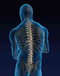 Spine & Back doctor near me | Spine Back Specialist | Orthopedic surgeon