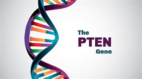 Everything You Need to Know About the PTEN Mutation | Everyday Health